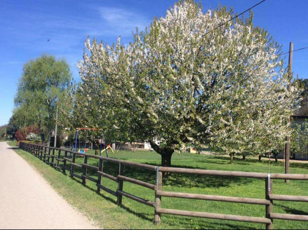 Azienda Agrituristica Scotti Villa Somma Lombardo Esterno foto