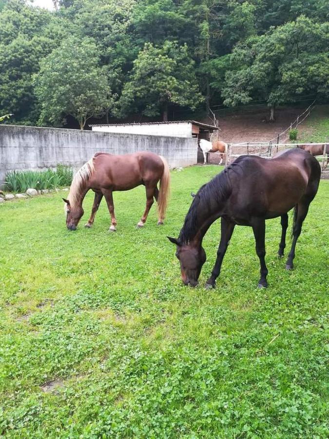 Azienda Agrituristica Scotti Villa Somma Lombardo Esterno foto